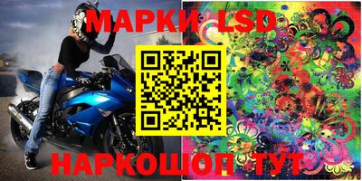 прущие грибы Краснокаменск