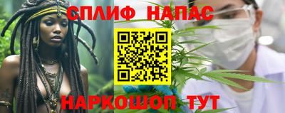 прущие грибы Краснокаменск