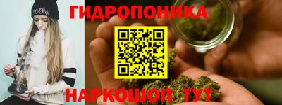прущие грибы Краснокаменск